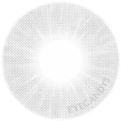 Innovision Fantasy V: 1-tone Forest Grey -Contact Lens Shop Innovision Fantasy V 1 tone Forest Grey Lt