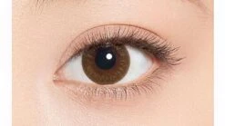 Minette 1-Day Layer Marron Brown (10pk) -Contact Lens Shop Layer Marron Eyes