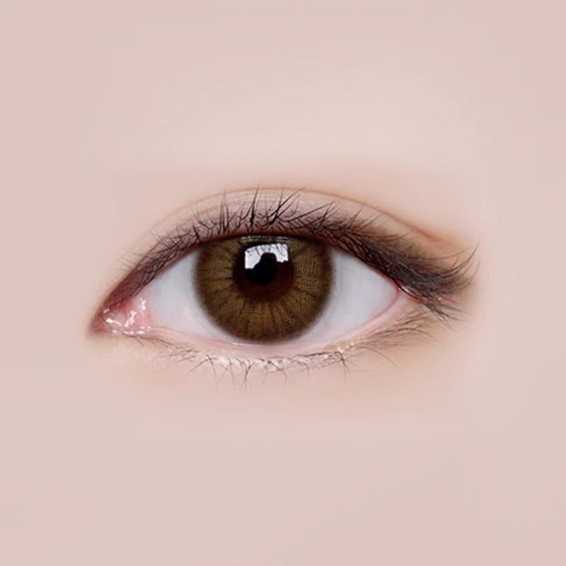 LensMe Style Homme Brown 2 LensMe Style Homme Brown - Image 2