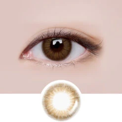 LensMe Style Homme Brown