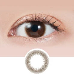 Molak Tint Brown (10pk)