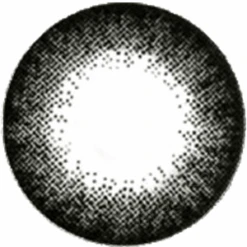 Contact Lens Shop -Contact Lens Shop NEOExtraDaliBlackLT d620b8c3 ff20 4d6b b277 bc6ee8519600