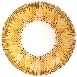 EyeCandys Pink Label Metropolis NYC 3-Tone Brown -Contact Lens Shop NYC3TONE brown LT