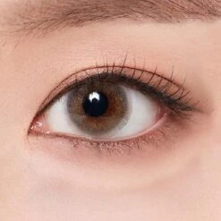 Olola 1-Day Able Grey (10pk) (KR) -Contact Lens Shop OlolaA.bleGrey CUE