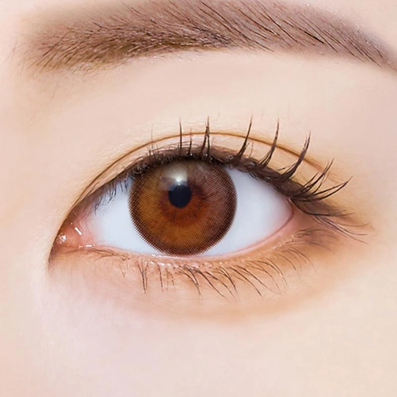 I-Sha Polaris Ursa Brown 2 I-Sha Polaris Ursa Brown - Image 2