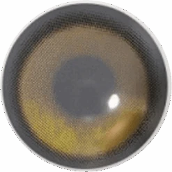 I-DOL Yurial Royal Brown 7 I-DOL Yurial Royal Brown -Contact Lens Shop i DOL Yurial Royal Brown LT