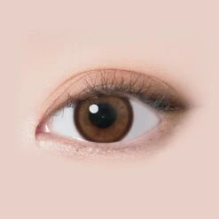 Contact Lens Shop -Contact Lens Shop i Sha Oriana Molton 1day Amber Brown CUE