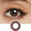 Lucia 1-Day Veil Brown (10pk)