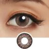 Lucia 1-Day Ash Brown (10pk)