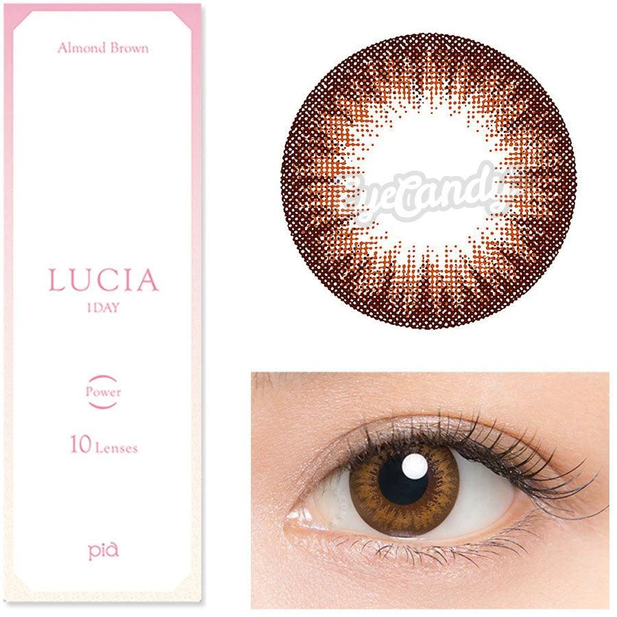 Lucia 1-Day Almond Brown (10pk) 3 Lucia 1-Day Almond Brown (10pk) - Image 3
