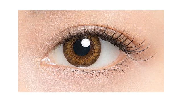 Lucia 1-Day Almond Brown (10pk) 4 Lucia 1-Day Almond Brown (10pk) - Image 4