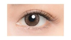 Lucia 1-Day Ash Brown (10pk) -Contact Lens Shop lucia ash brown circle lens 2