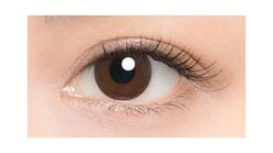 Lucia 1-Day Veil Brown (10pk) -Contact Lens Shop lucia veil brown circle lens 3