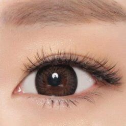 NEO Extra Dali 2 Brown (KR) 9 NEO Extra Dali 2 Brown (KR) -Contact Lens Shop neo extra dali 2 n044 brown close 4