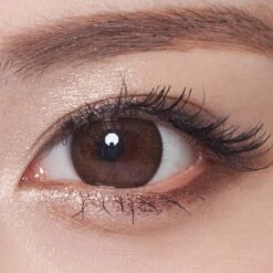 NEO Monthly Extra Dali Brown -Contact Lens Shop neo n254 extra dali brown color contact lens close b78f320b 6002 4e58 b8af 9fb21bd5fd7d